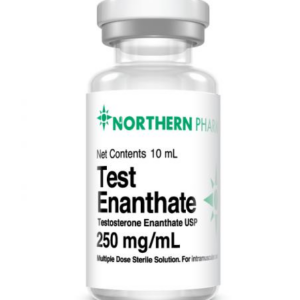 Northern – Test Enanthante 250mg/ml 10ml vial