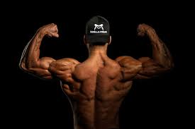Anabolic steroids Canada