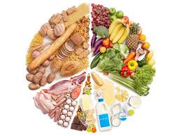 steroid cycle diet